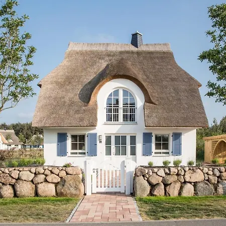 Schilfrohrsaenger 43 *