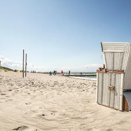 Schilfrohrsaenger 43 *