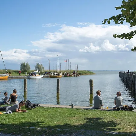 Schilfrohrsaenger 43 * Fuhlendorf (Mecklenburg-Vorpommern)