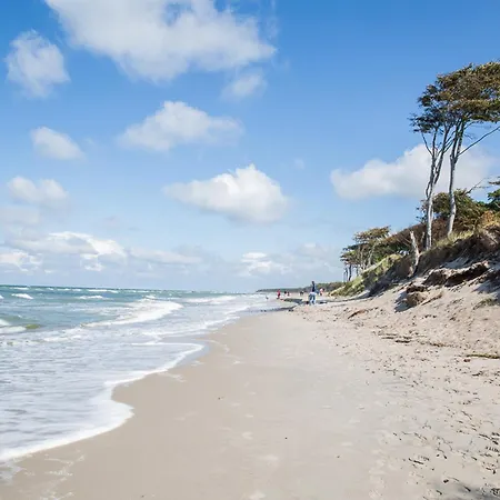 Casa de Férias Schilfrohrsaenger 43 *