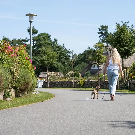 Schilfrohrsaenger 43 Fuhlendorf (Mecklenburg-Vorpommern)