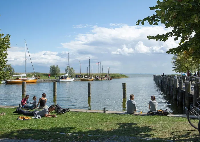 Schilfrohrsaenger 43 * Fuhlendorf (Mecklenburg-Vorpommern)