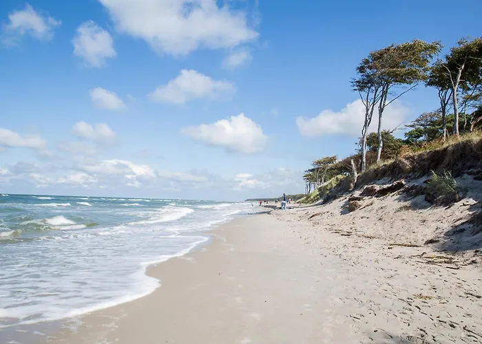 Prázdninový dům Schilfrohrsaenger 43 *