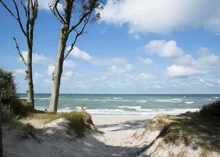 Schilfrohrsaenger 43 Prázdninový dům Fuhlendorf (Mecklenburg-Vorpommern)
